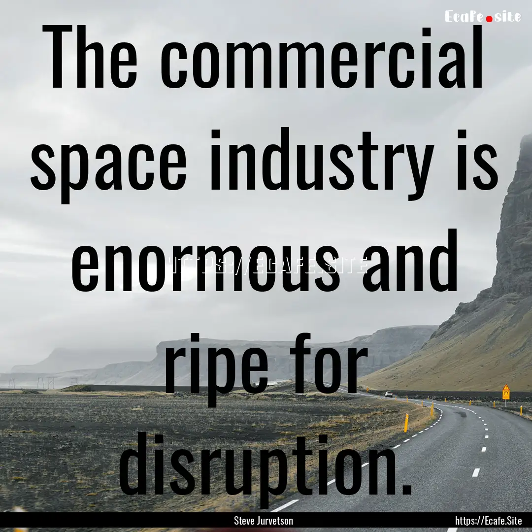 The commercial space industry is enormous.... : Quote by Steve Jurvetson