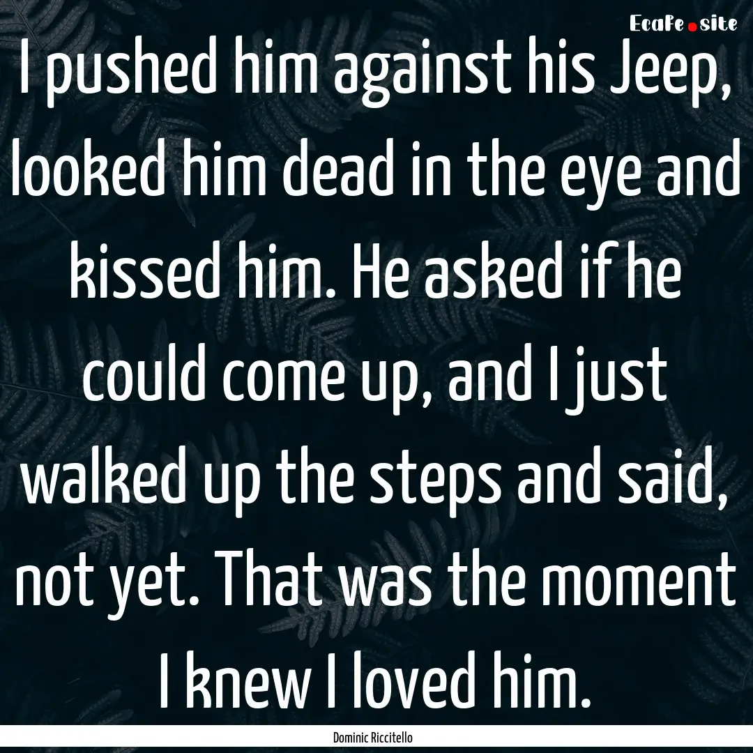 I pushed him against his Jeep, looked him.... : Quote by Dominic Riccitello