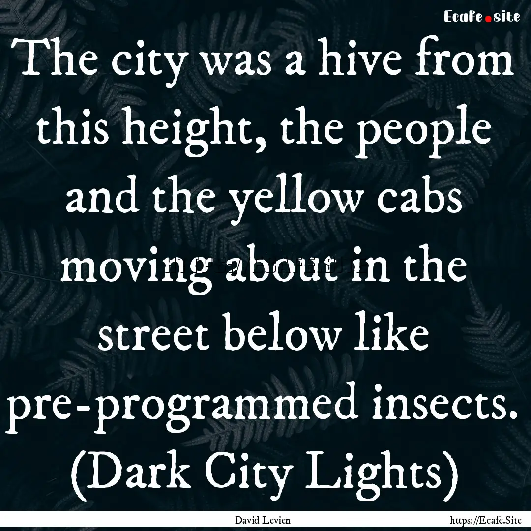 The city was a hive from this height, the.... : Quote by David Levien