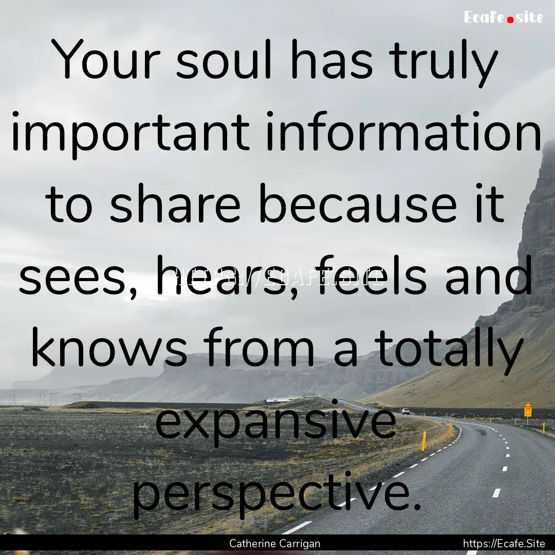 Your soul has truly important information.... : Quote by Catherine Carrigan