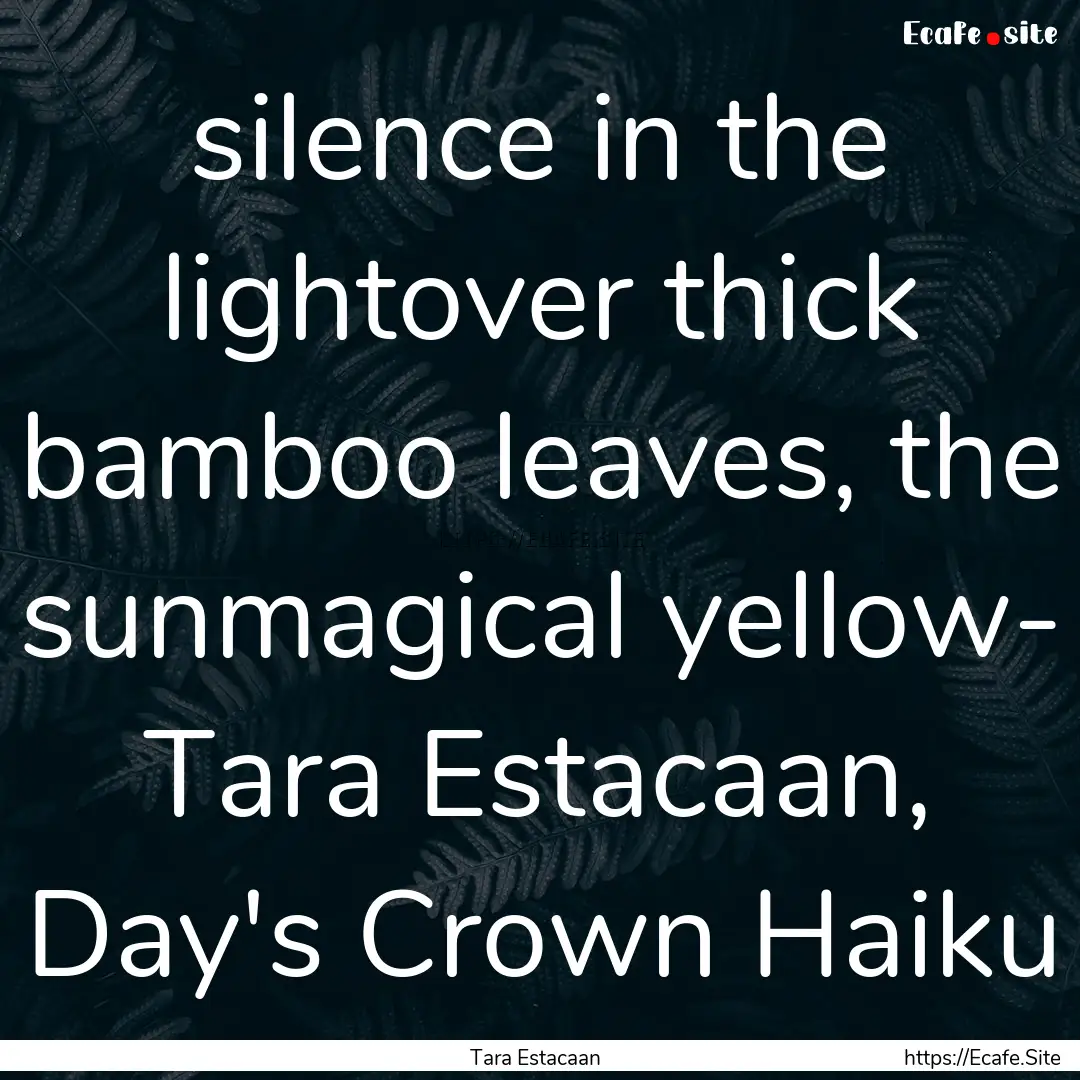 silence in the lightover thick bamboo leaves,.... : Quote by Tara Estacaan