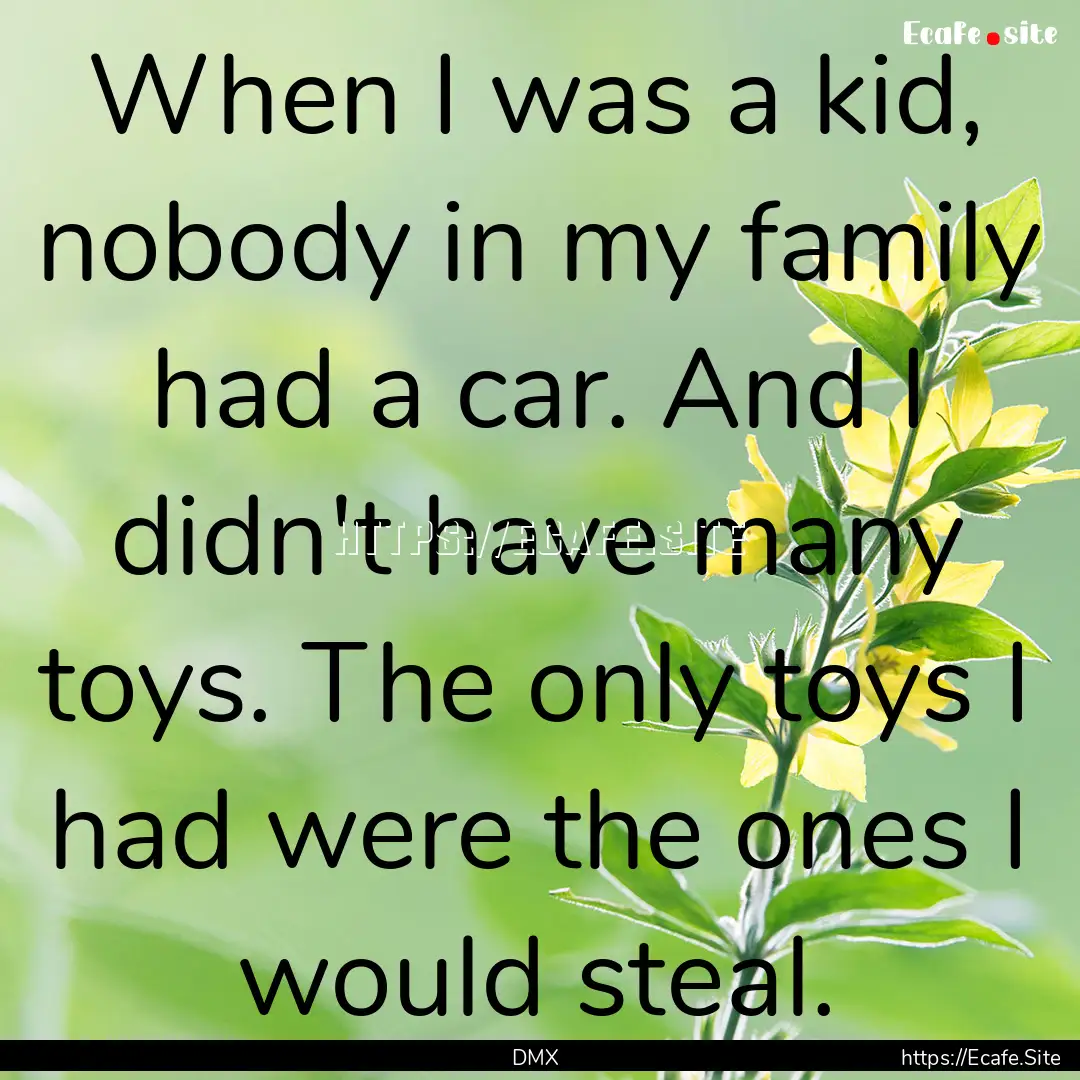 When I was a kid, nobody in my family had.... : Quote by DMX