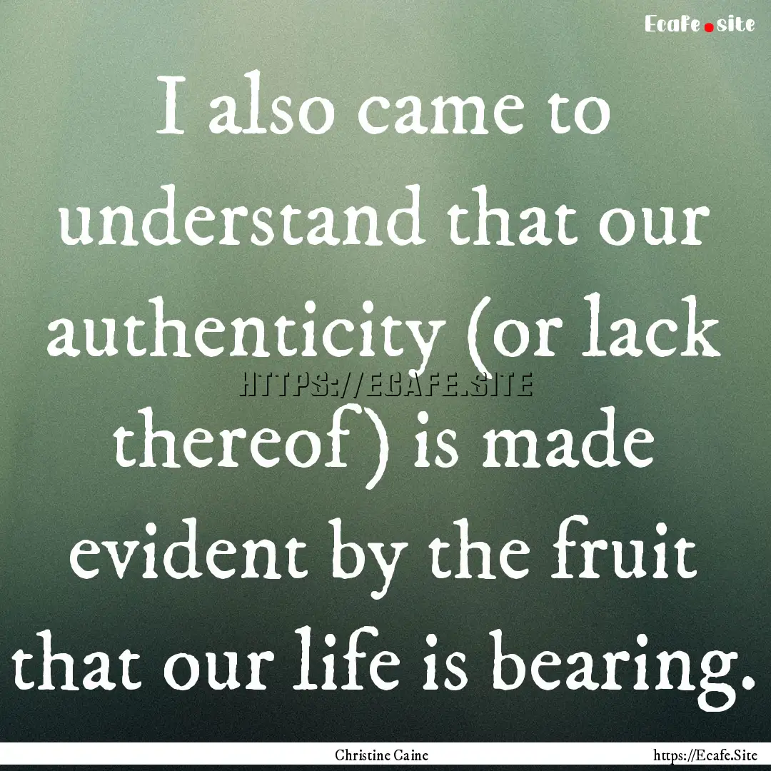 I also came to understand that our authenticity.... : Quote by Christine Caine