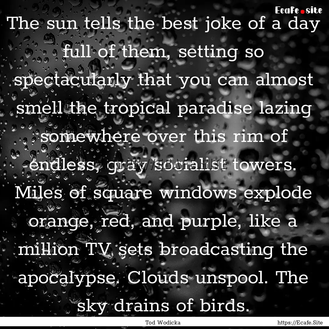 The sun tells the best joke of a day full.... : Quote by Tod Wodicka