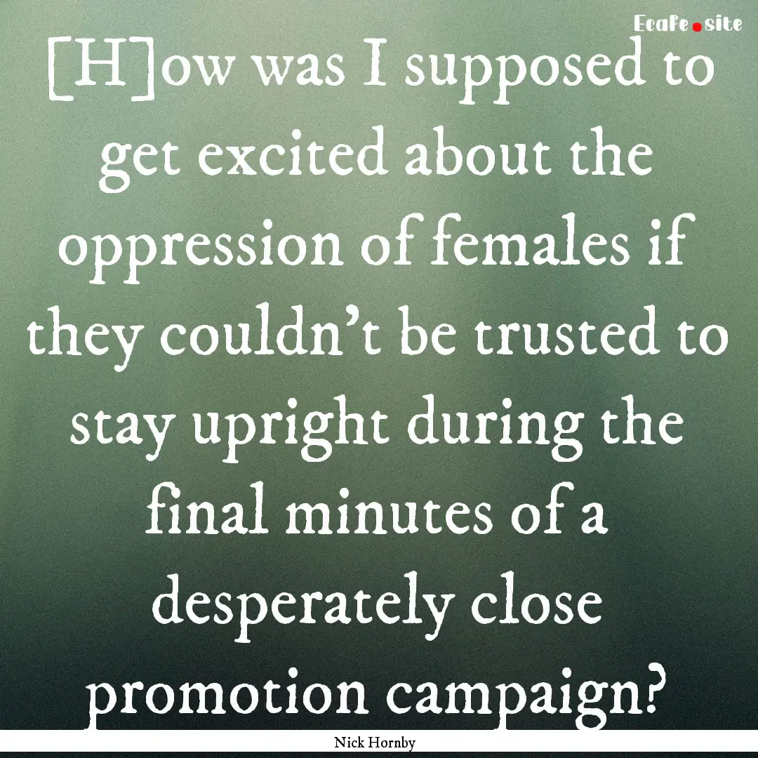 [H]ow was I supposed to get excited about.... : Quote by Nick Hornby