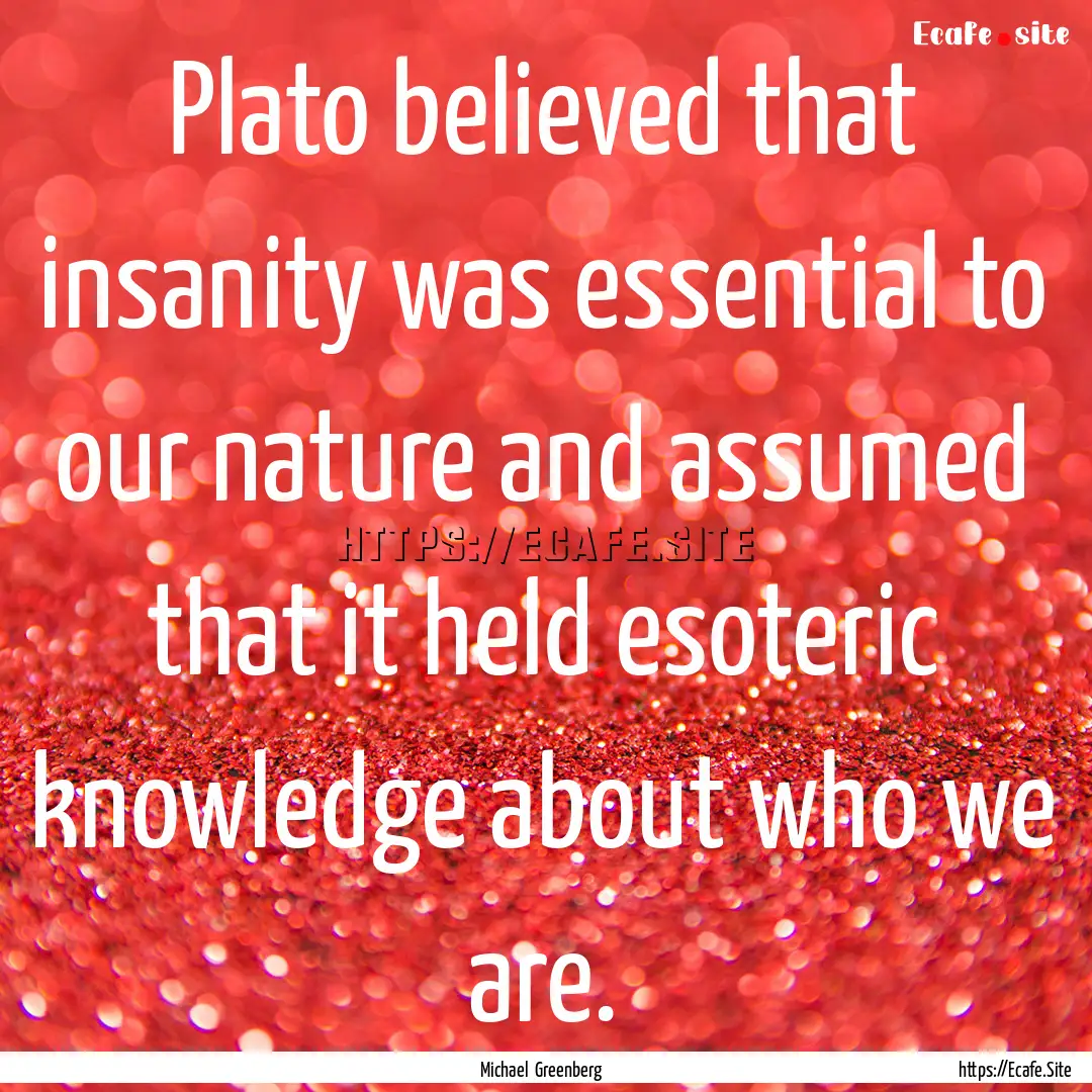 Plato believed that insanity was essential.... : Quote by Michael Greenberg