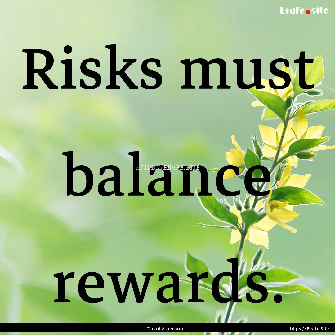 Risks must balance rewards. : Quote by David Amerland