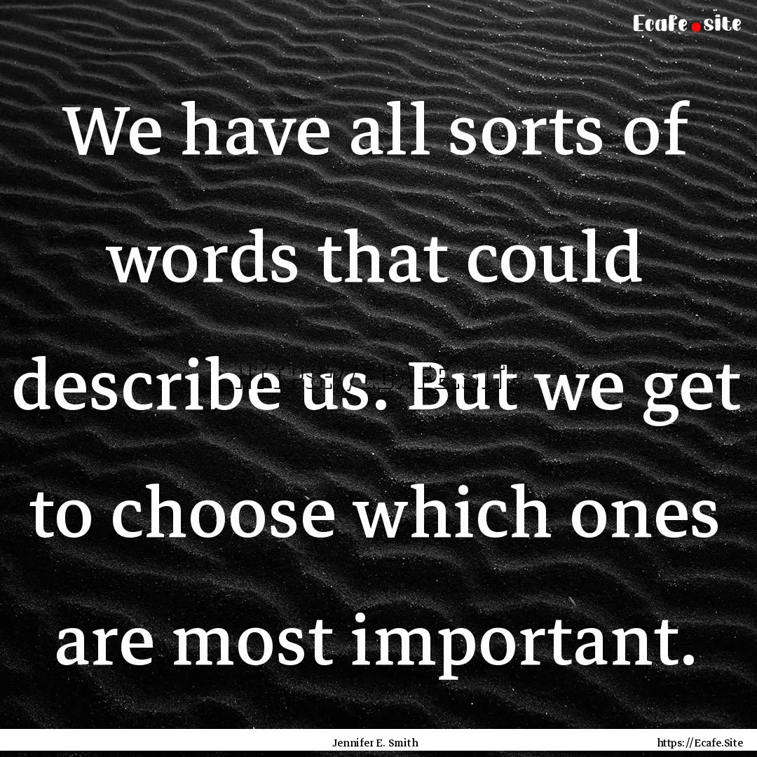 We have all sorts of words that could describe.... : Quote by Jennifer E. Smith