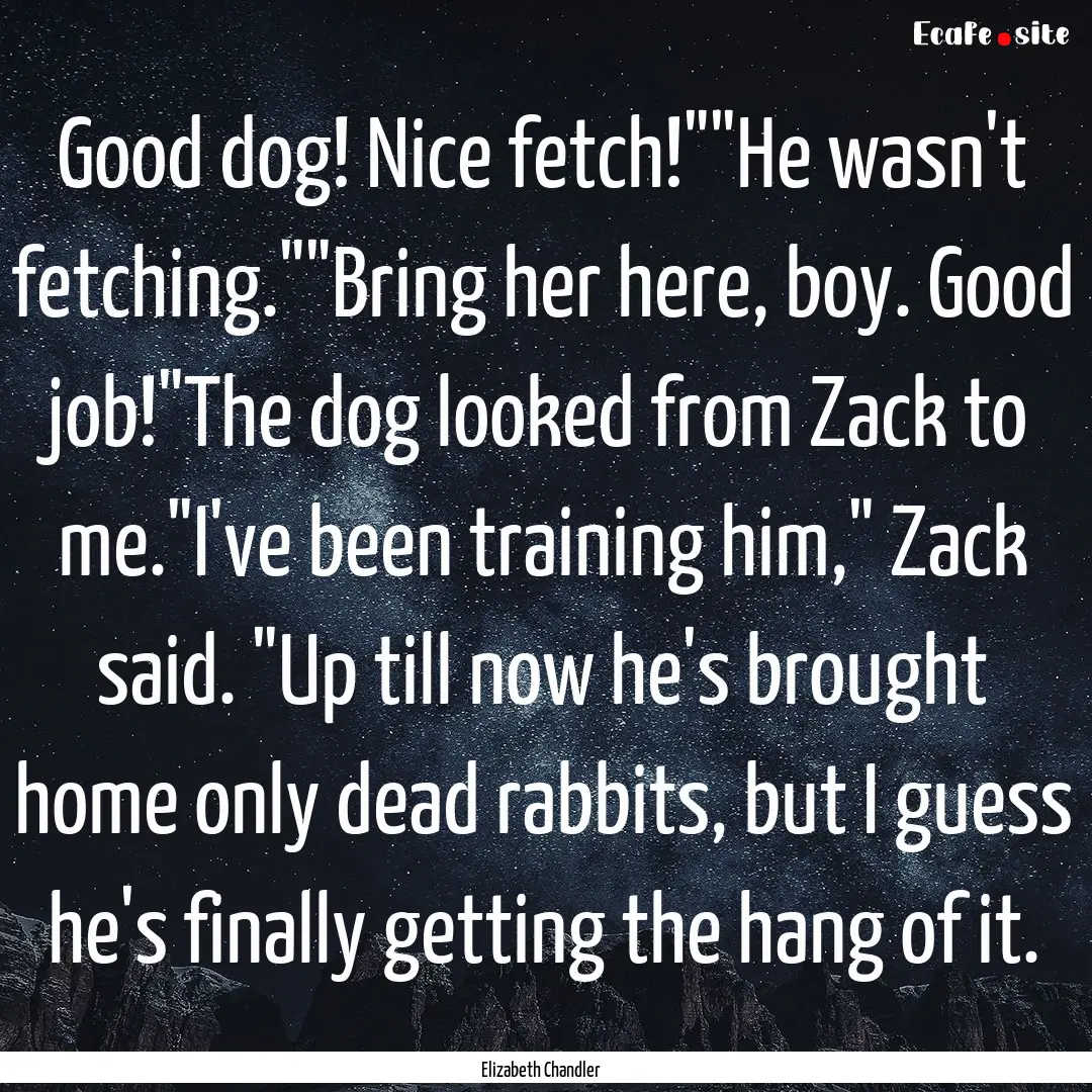 Good dog! Nice fetch!