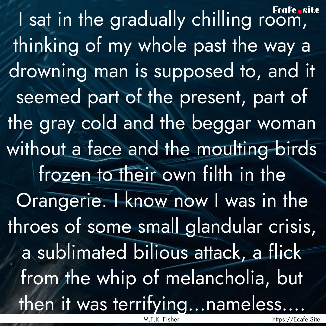 I sat in the gradually chilling room, thinking.... : Quote by M.F.K. Fisher