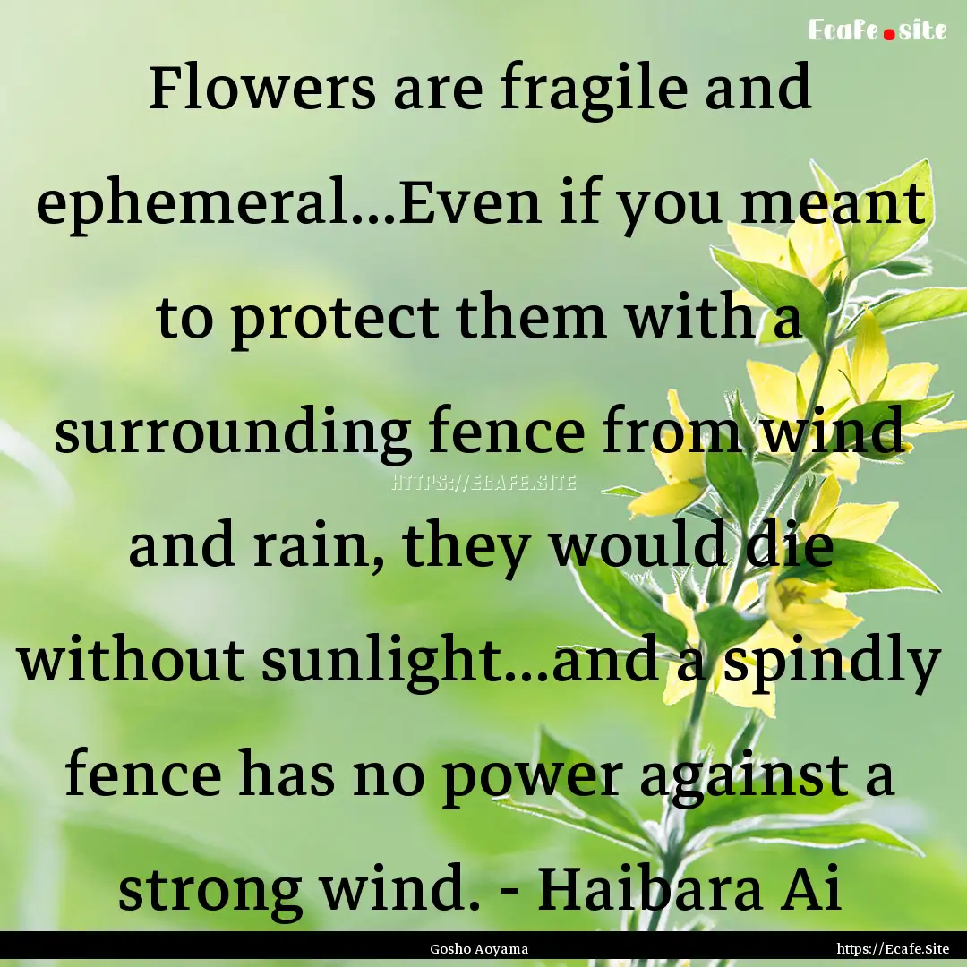 Flowers are fragile and ephemeral...Even.... : Quote by Gosho Aoyama