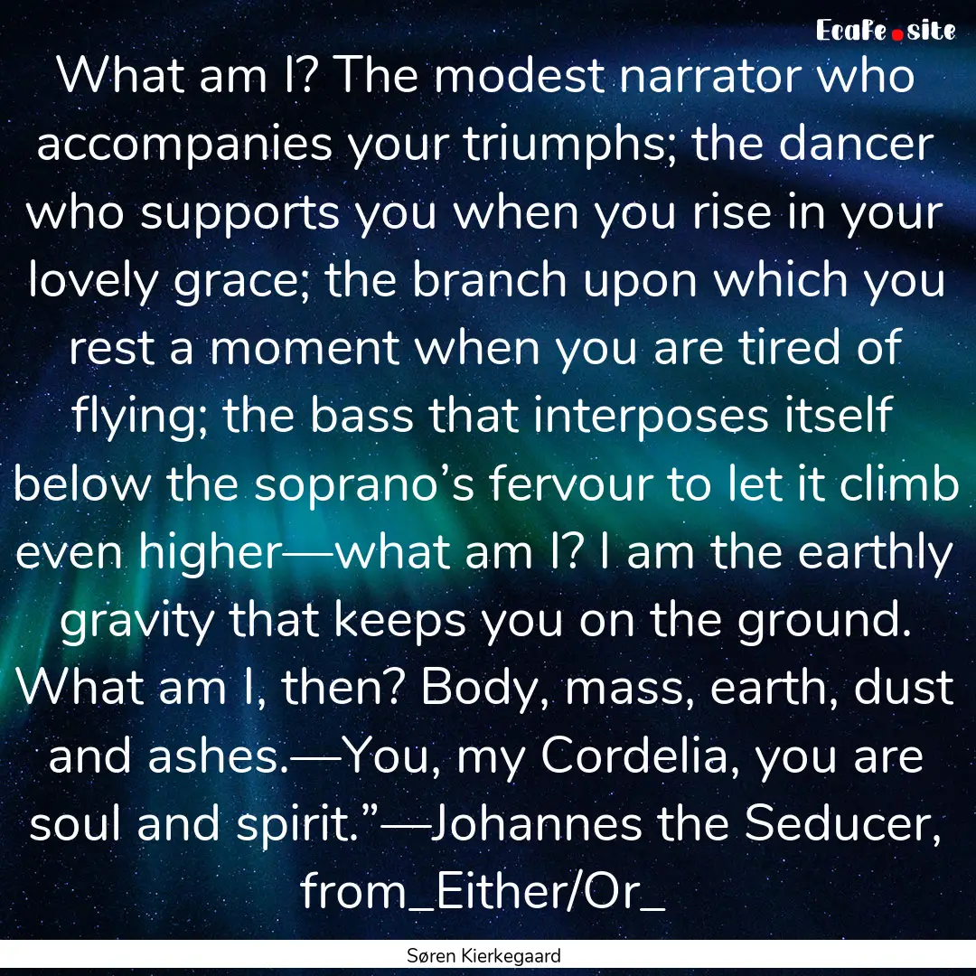 What am I? The modest narrator who accompanies.... : Quote by Søren Kierkegaard