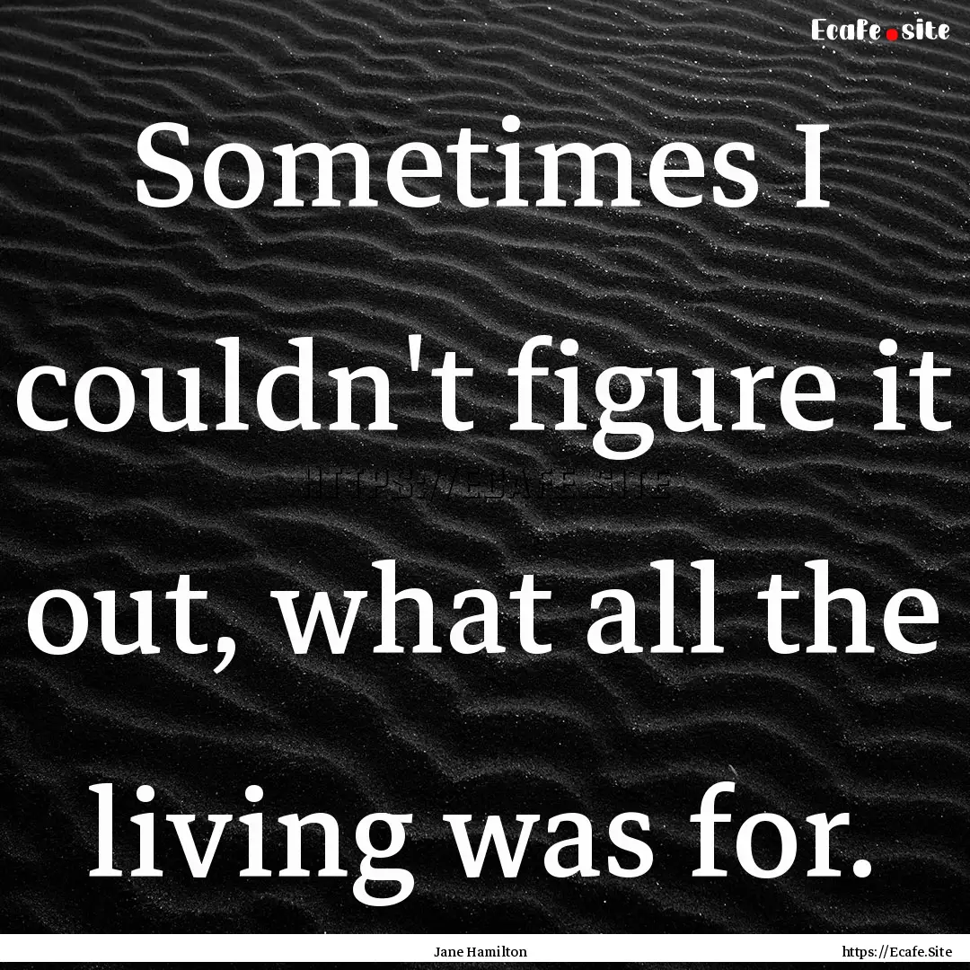 Sometimes I couldn't figure it out, what.... : Quote by Jane Hamilton