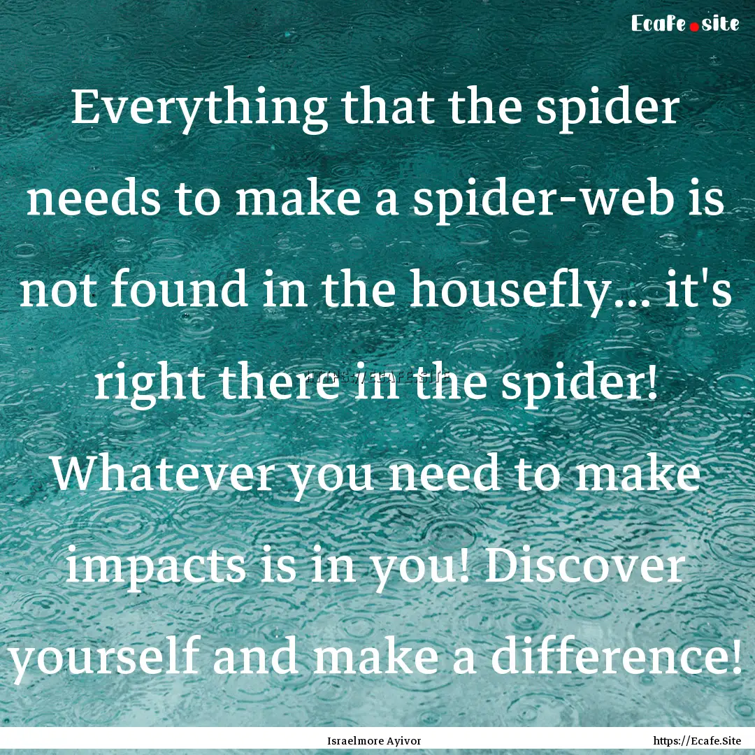 Everything that the spider needs to make.... : Quote by Israelmore Ayivor