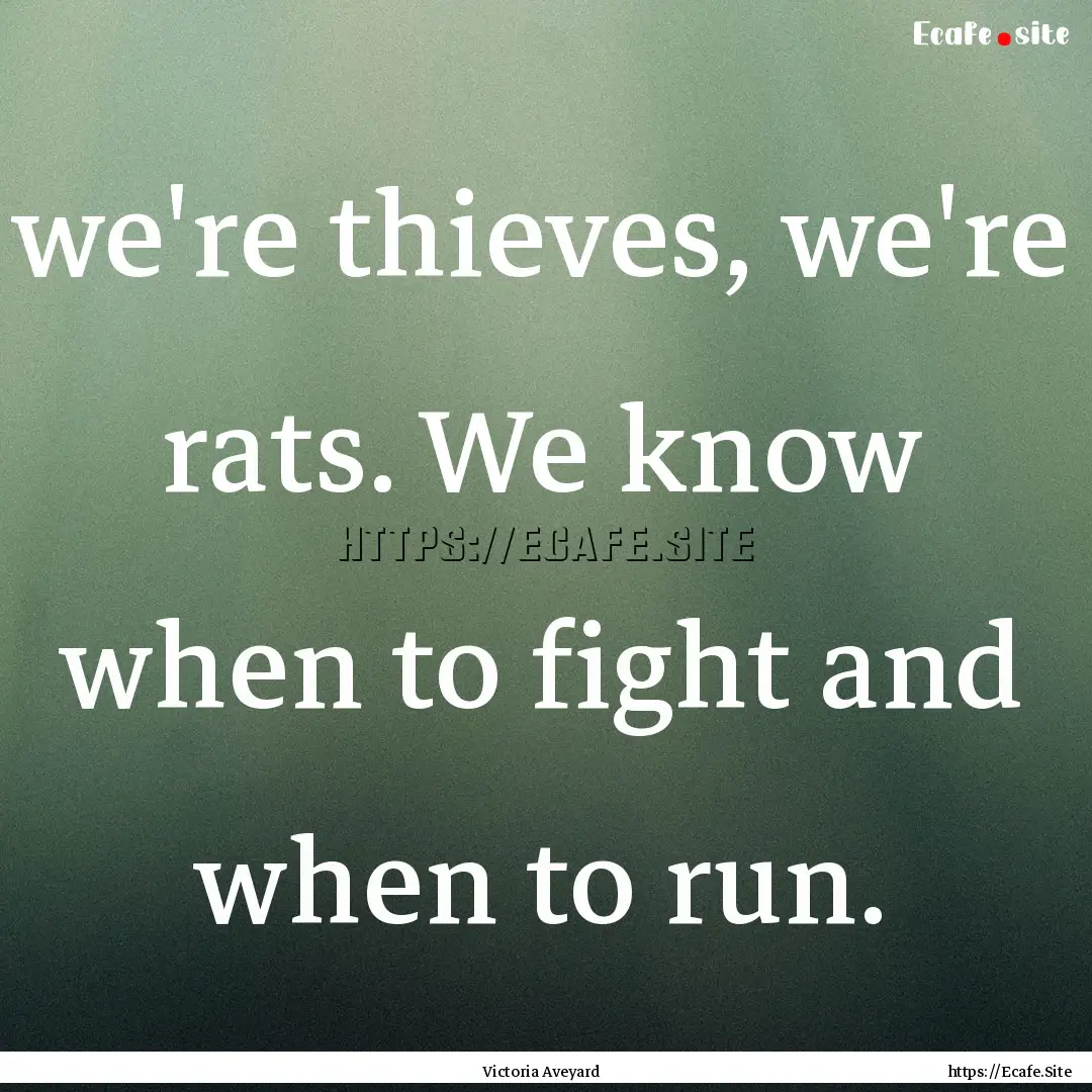 we're thieves, we're rats. We know when to.... : Quote by Victoria Aveyard