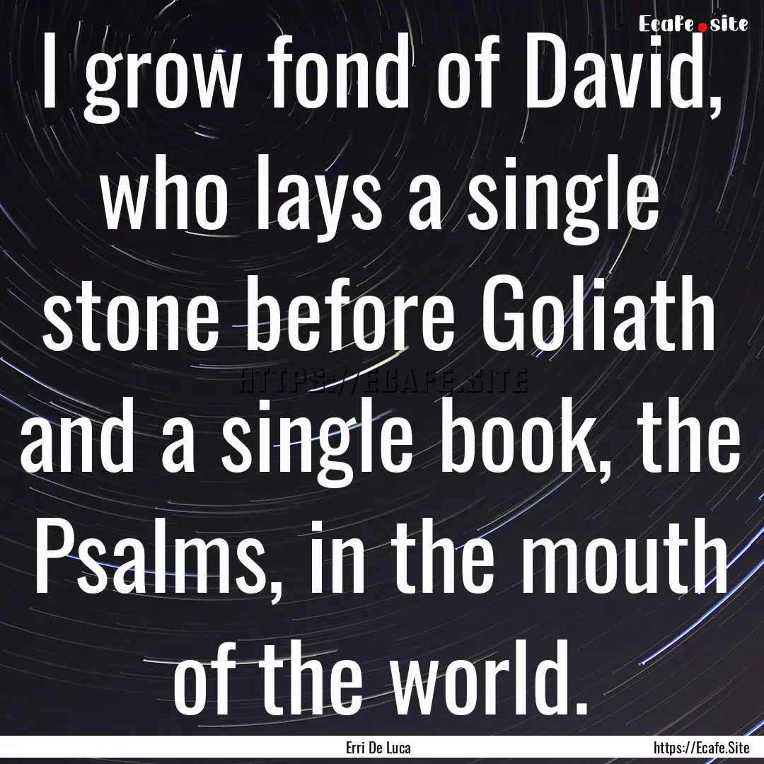 I grow fond of David, who lays a single stone.... : Quote by Erri De Luca