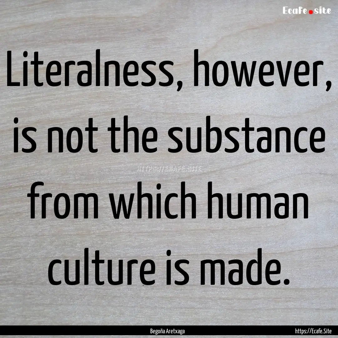 Literalness, however, is not the substance.... : Quote by Begoña Aretxaga