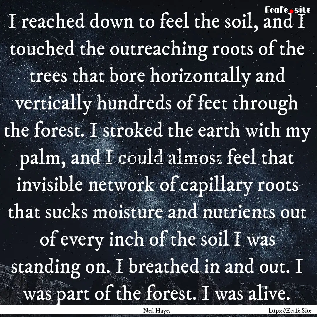 I reached down to feel the soil, and I touched.... : Quote by Ned Hayes