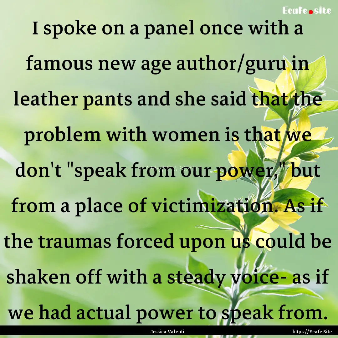 I spoke on a panel once with a famous new.... : Quote by Jessica Valenti