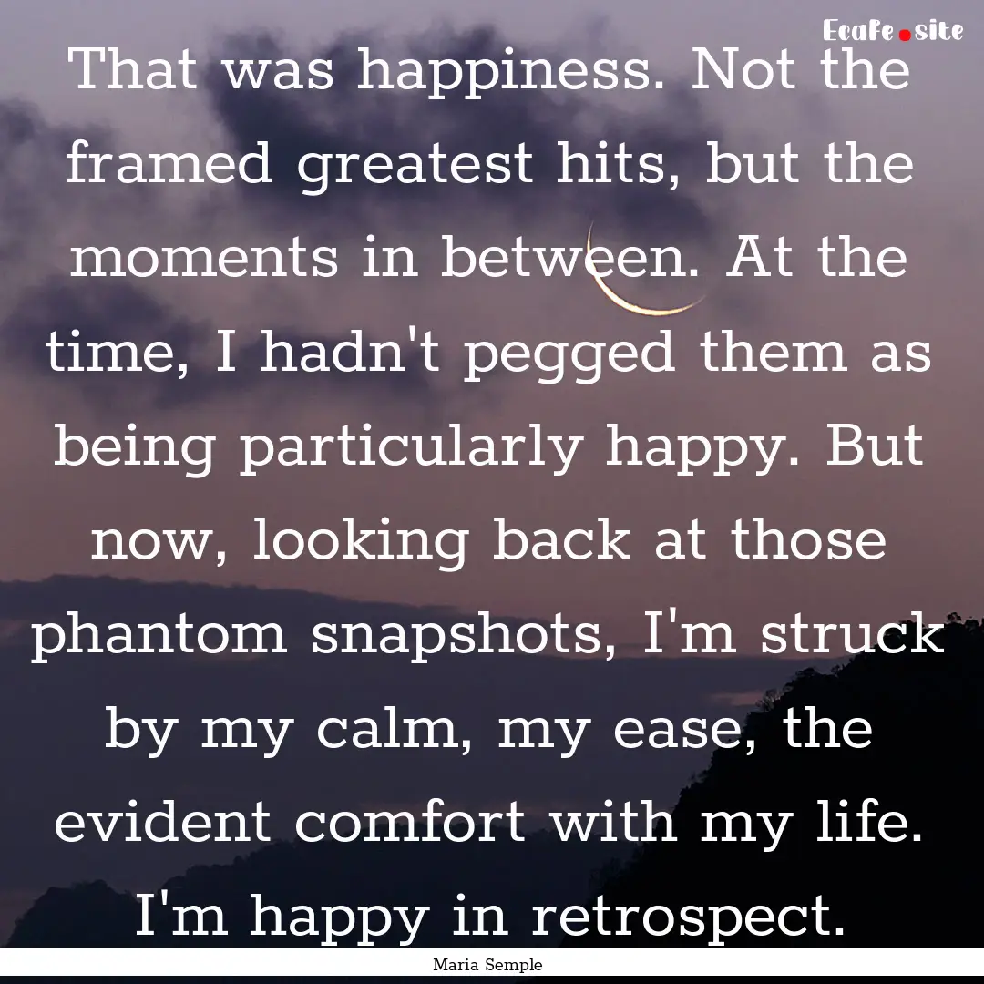 That was happiness. Not the framed greatest.... : Quote by Maria Semple