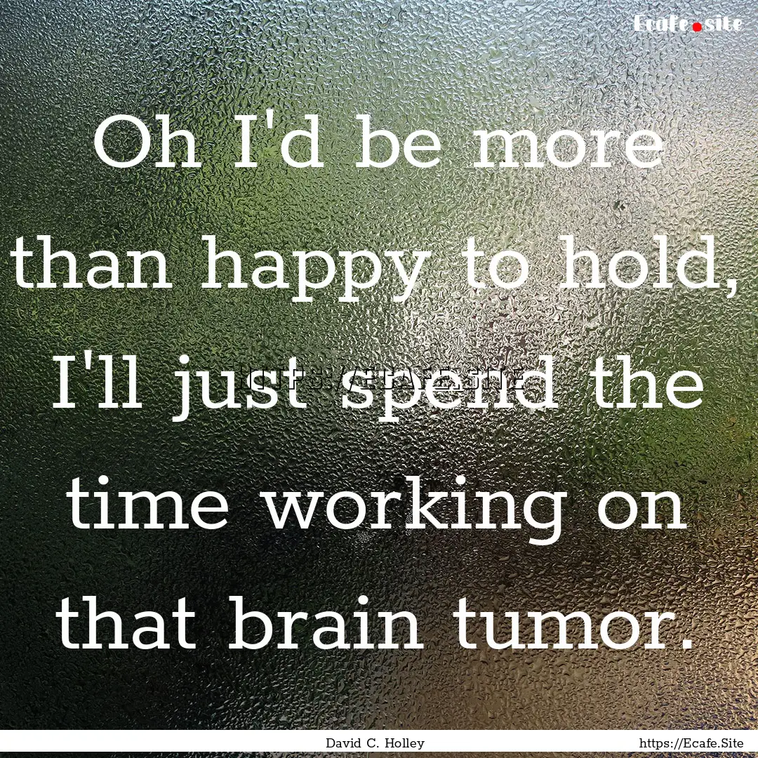 Oh I'd be more than happy to hold, I'll just.... : Quote by David C. Holley