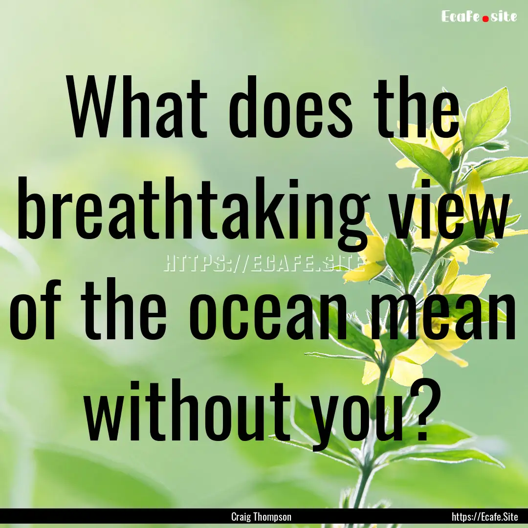 What does the breathtaking view of the ocean.... : Quote by Craig Thompson