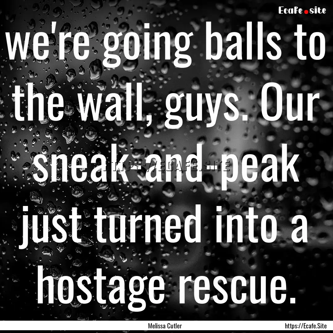 we're going balls to the wall, guys. Our.... : Quote by Melissa Cutler