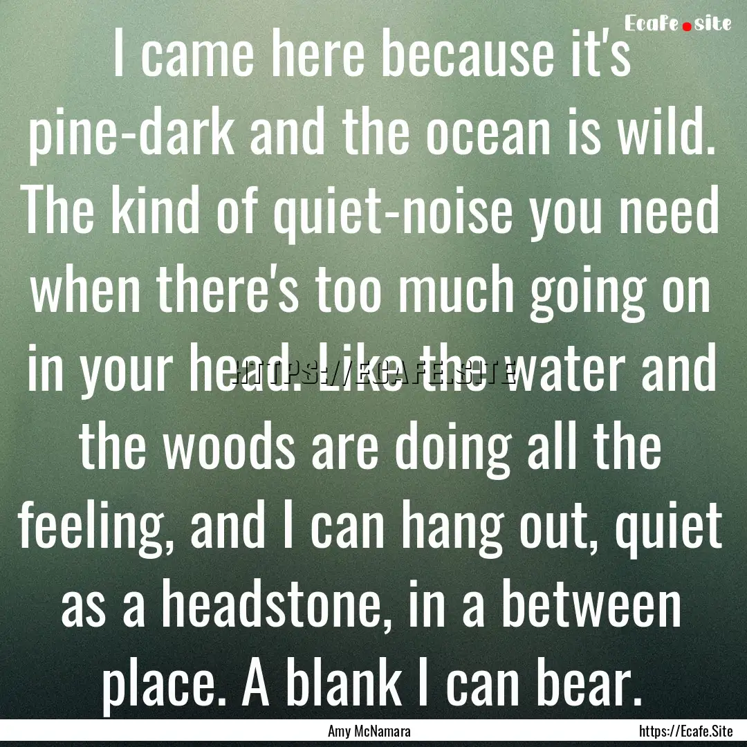 I came here because it's pine-dark and the.... : Quote by Amy McNamara