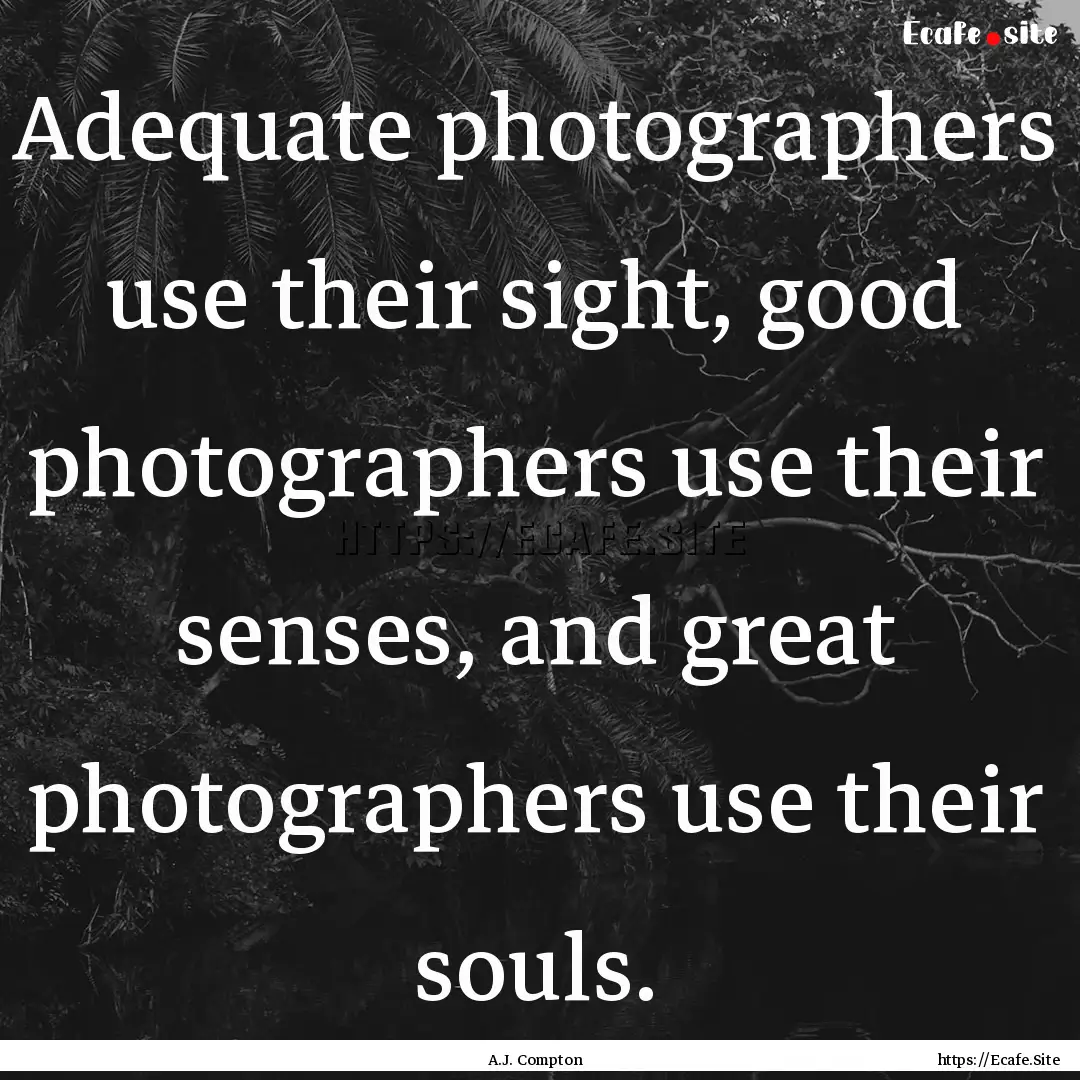 Adequate photographers use their sight, good.... : Quote by A.J. Compton