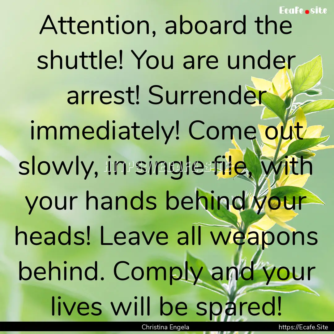 Attention, aboard the shuttle! You are under.... : Quote by Christina Engela