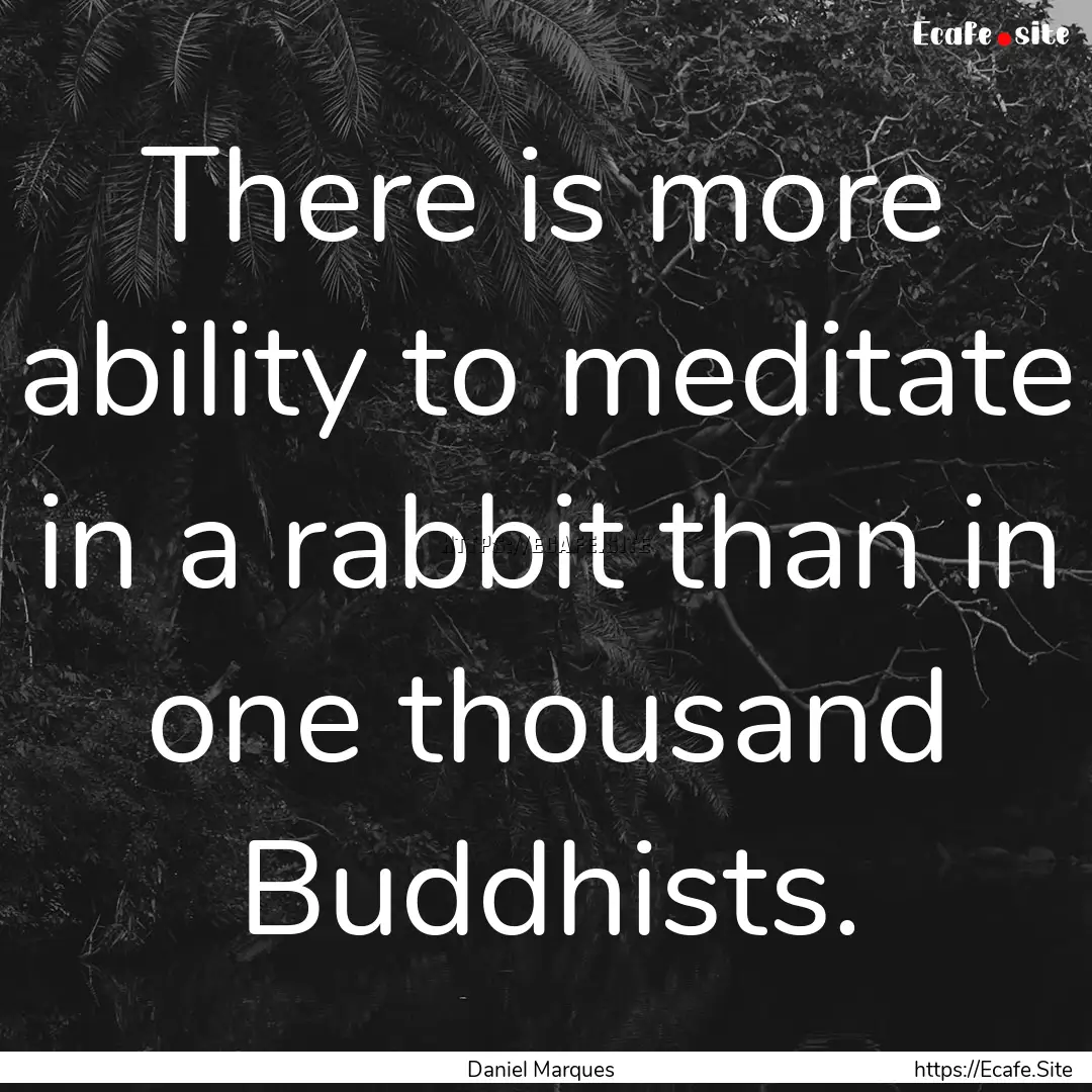 There is more ability to meditate in a rabbit.... : Quote by Daniel Marques