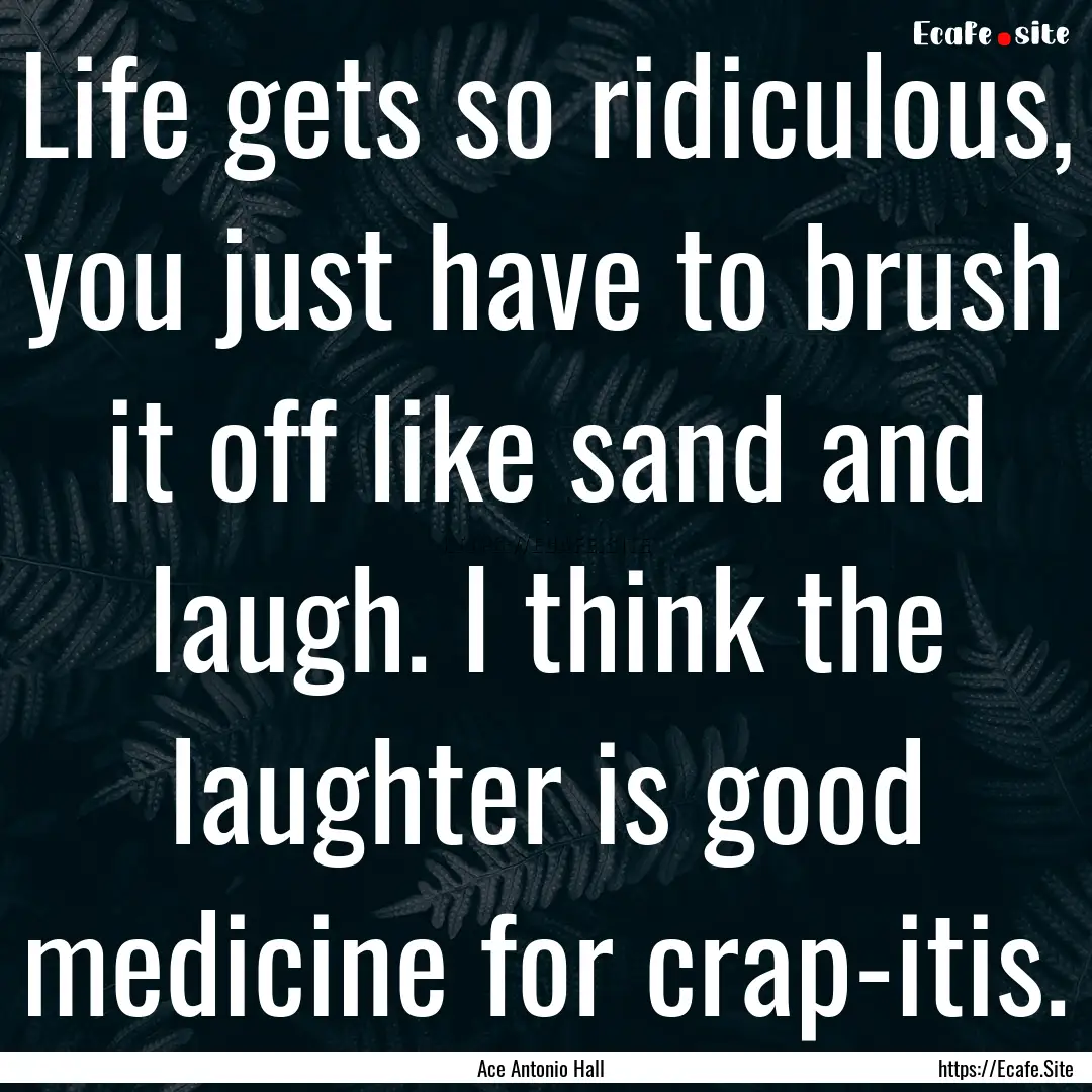 Life gets so ridiculous, you just have to.... : Quote by Ace Antonio Hall