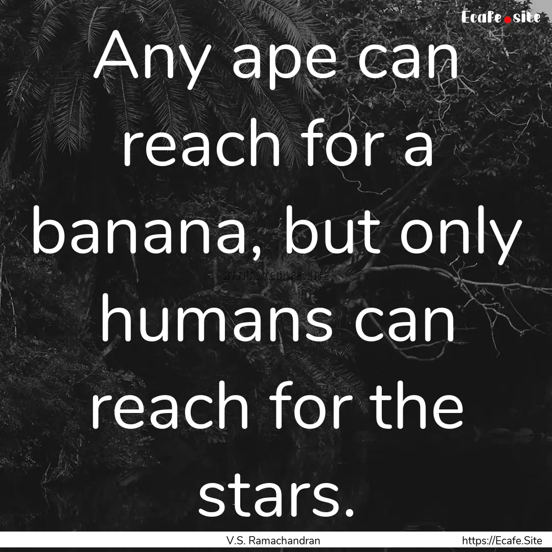 Any ape can reach for a banana, but only.... : Quote by V.S. Ramachandran