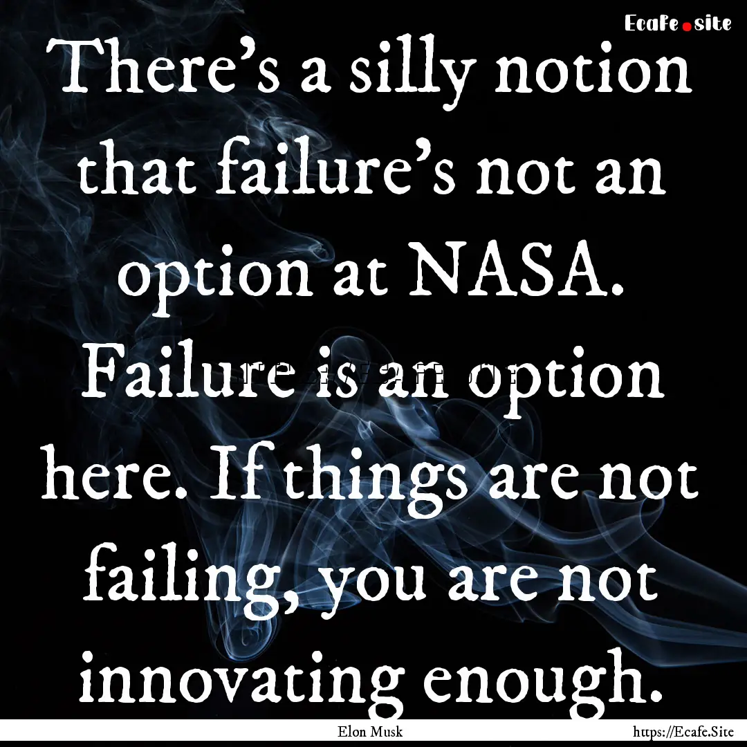 There's a silly notion that failure's not.... : Quote by Elon Musk