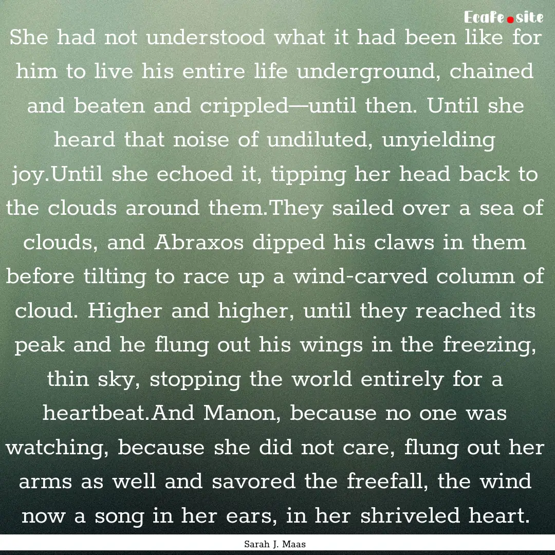 She had not understood what it had been like.... : Quote by Sarah J. Maas