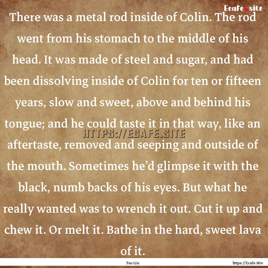 There was a metal rod inside of Colin. The.... : Quote by Tao Lin