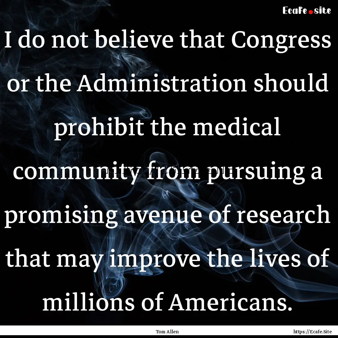 I do not believe that Congress or the Administration.... : Quote by Tom Allen