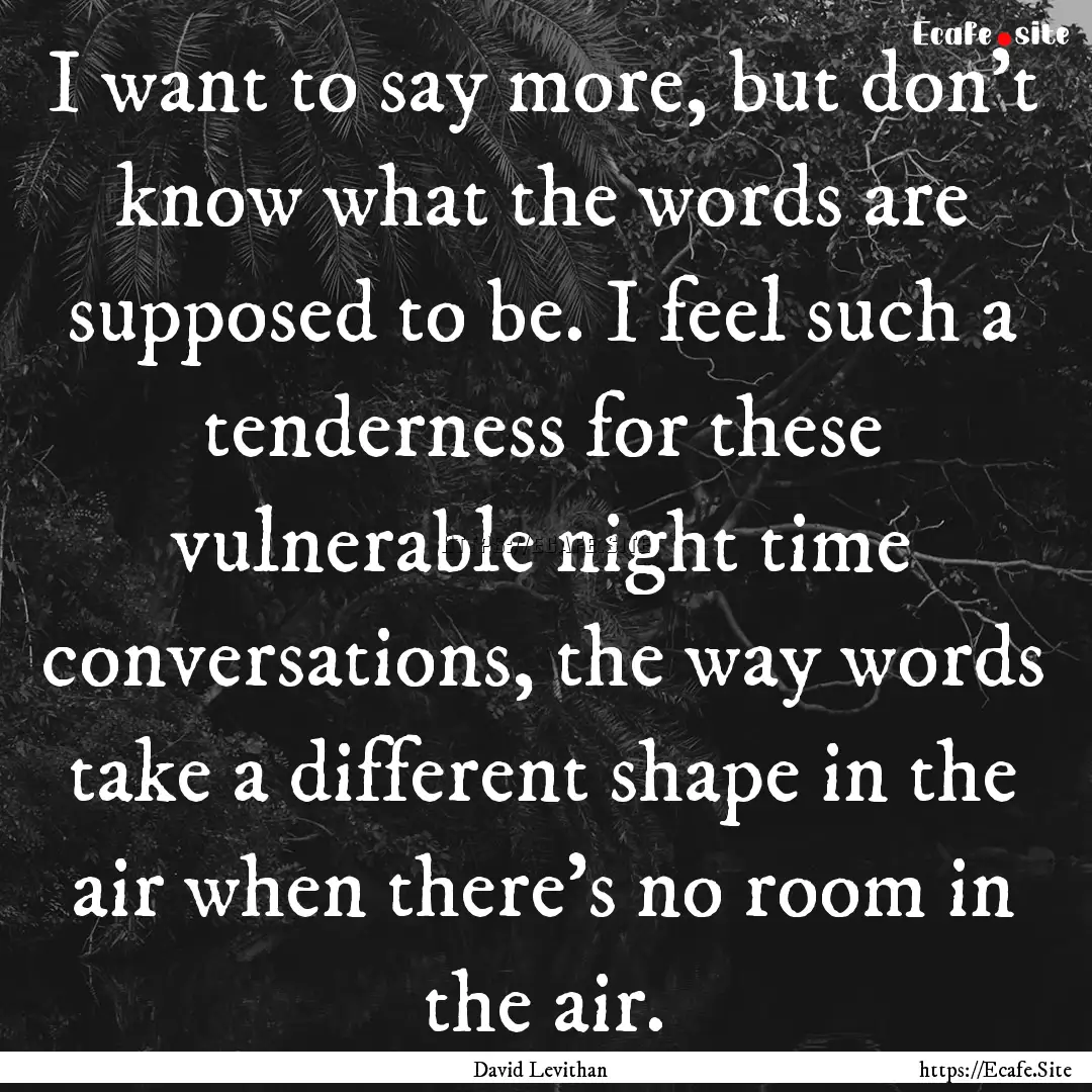 I want to say more, but don't know what the.... : Quote by David Levithan