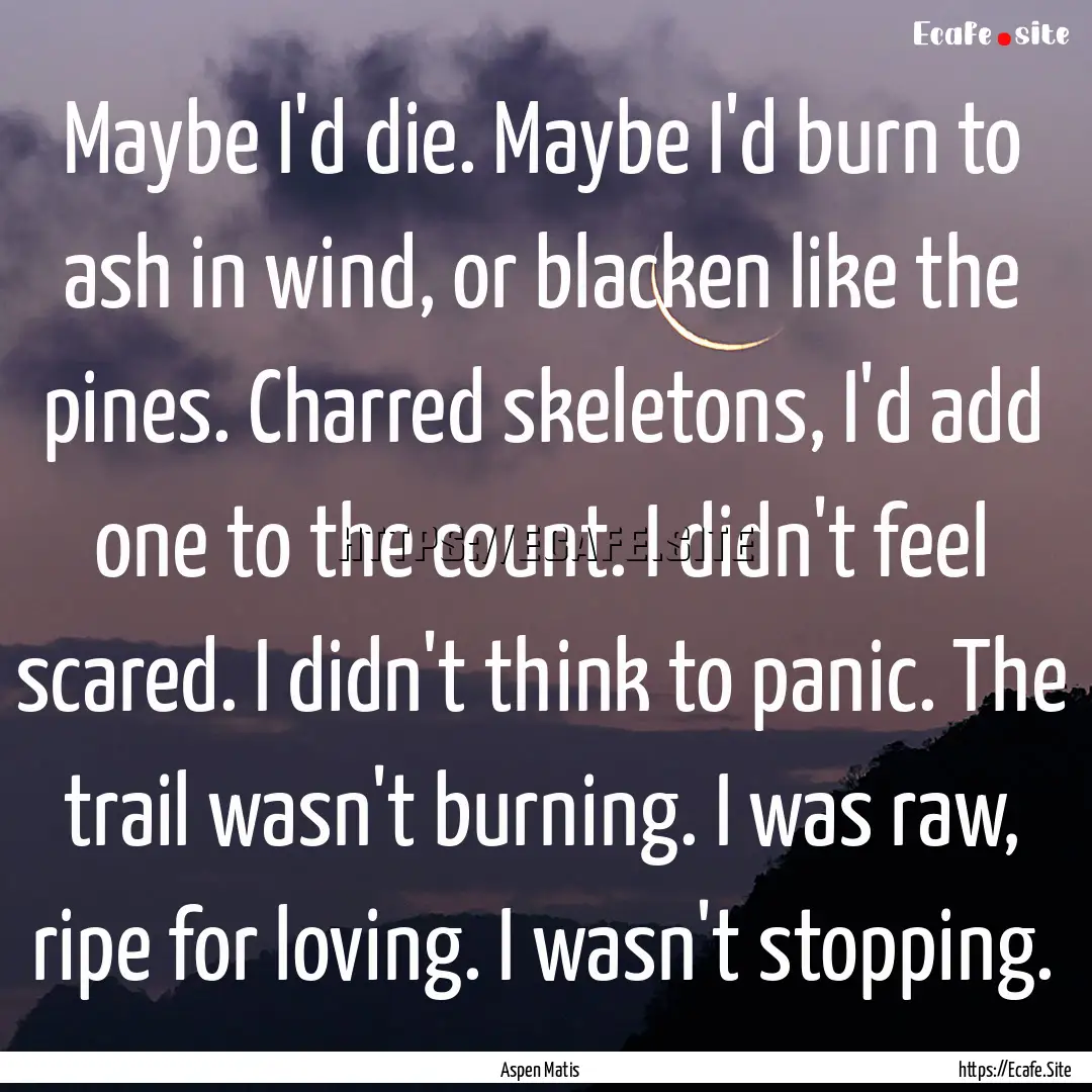 Maybe I'd die. Maybe I'd burn to ash in wind,.... : Quote by Aspen Matis