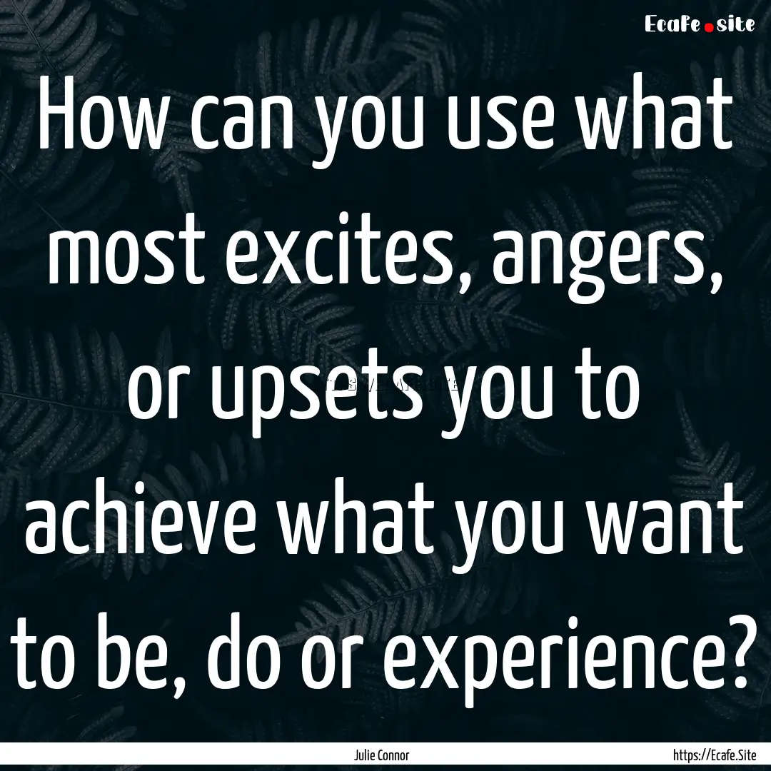 How can you use what most excites, angers,.... : Quote by Julie Connor