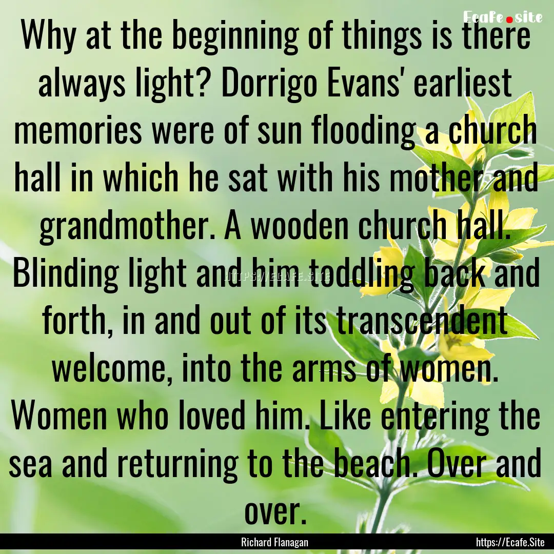 Why at the beginning of things is there always.... : Quote by Richard Flanagan