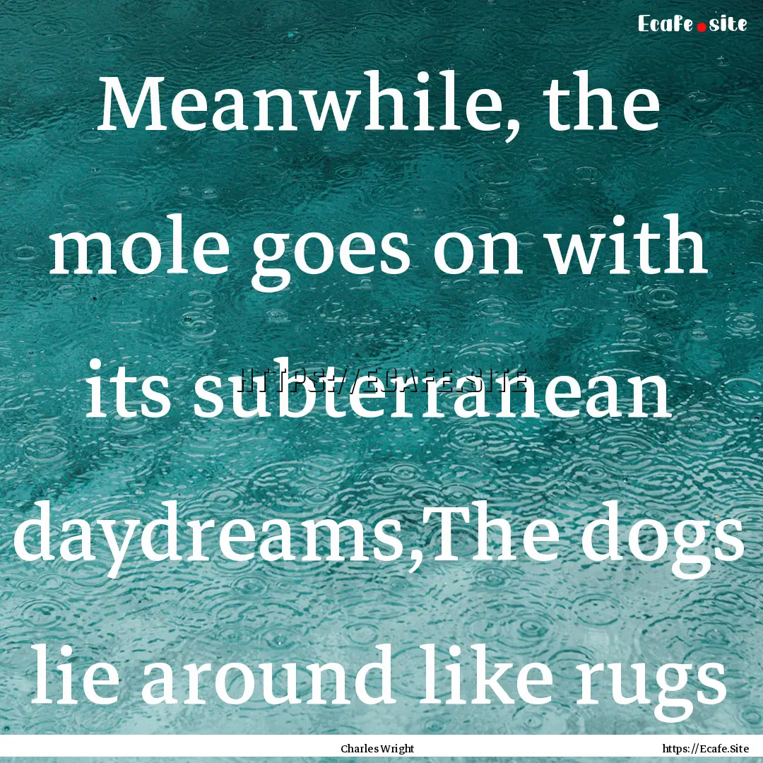 Meanwhile, the mole goes on with its subterranean.... : Quote by Charles Wright