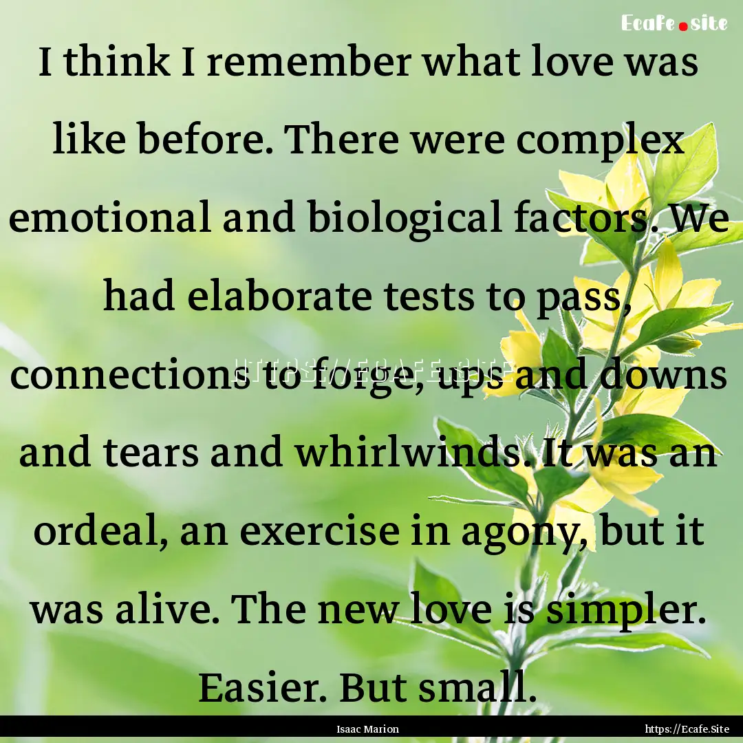 I think I remember what love was like before..... : Quote by Isaac Marion