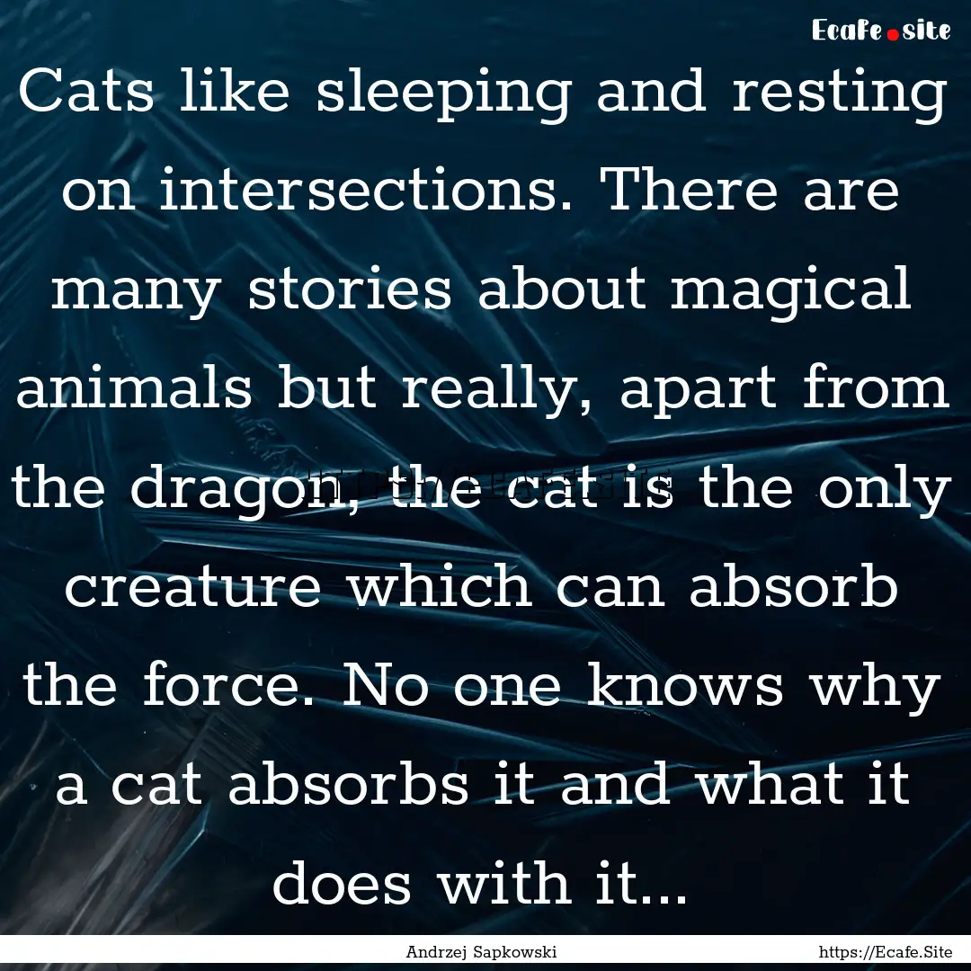 Cats like sleeping and resting on intersections..... : Quote by Andrzej Sapkowski