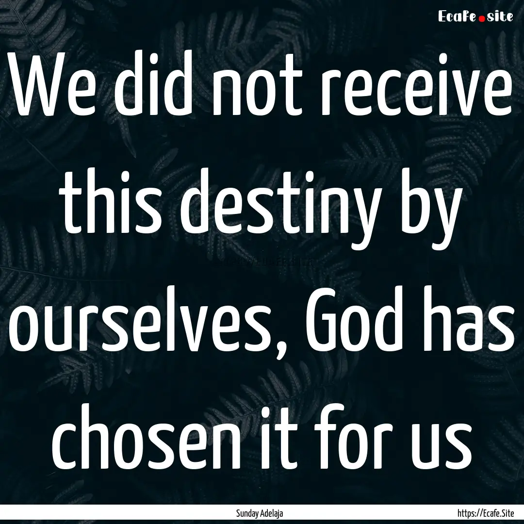 We did not receive this destiny by ourselves,.... : Quote by Sunday Adelaja