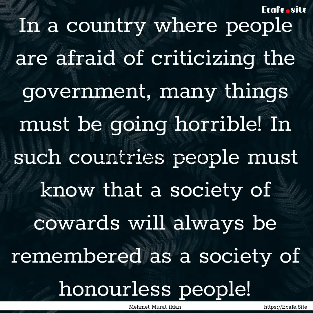 In a country where people are afraid of criticizing.... : Quote by Mehmet Murat ildan