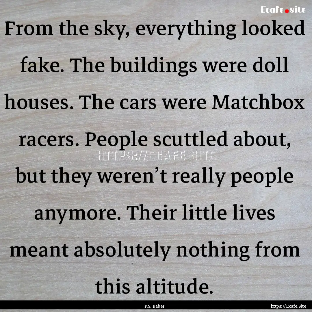 From the sky, everything looked fake. The.... : Quote by P.S. Baber