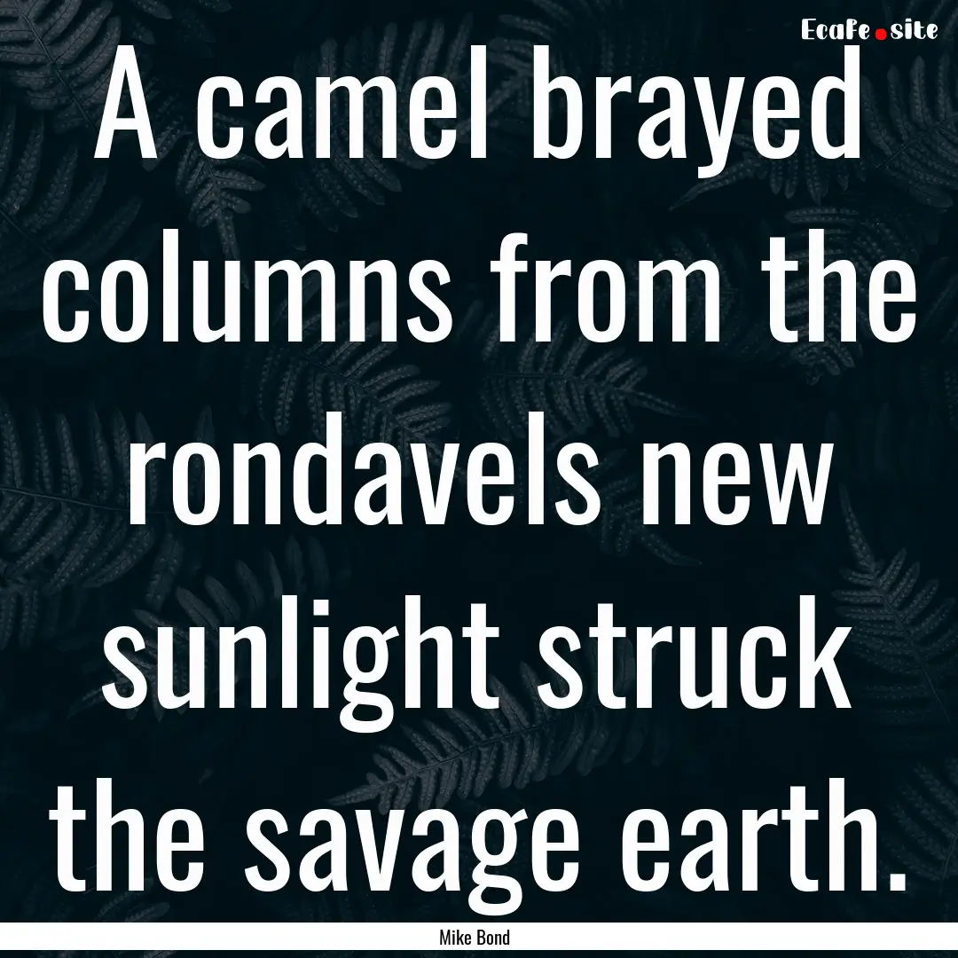 A camel brayed columns from the rondavels.... : Quote by Mike Bond