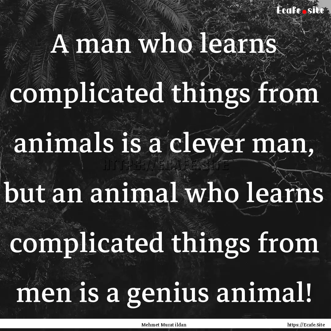 A man who learns complicated things from.... : Quote by Mehmet Murat ildan