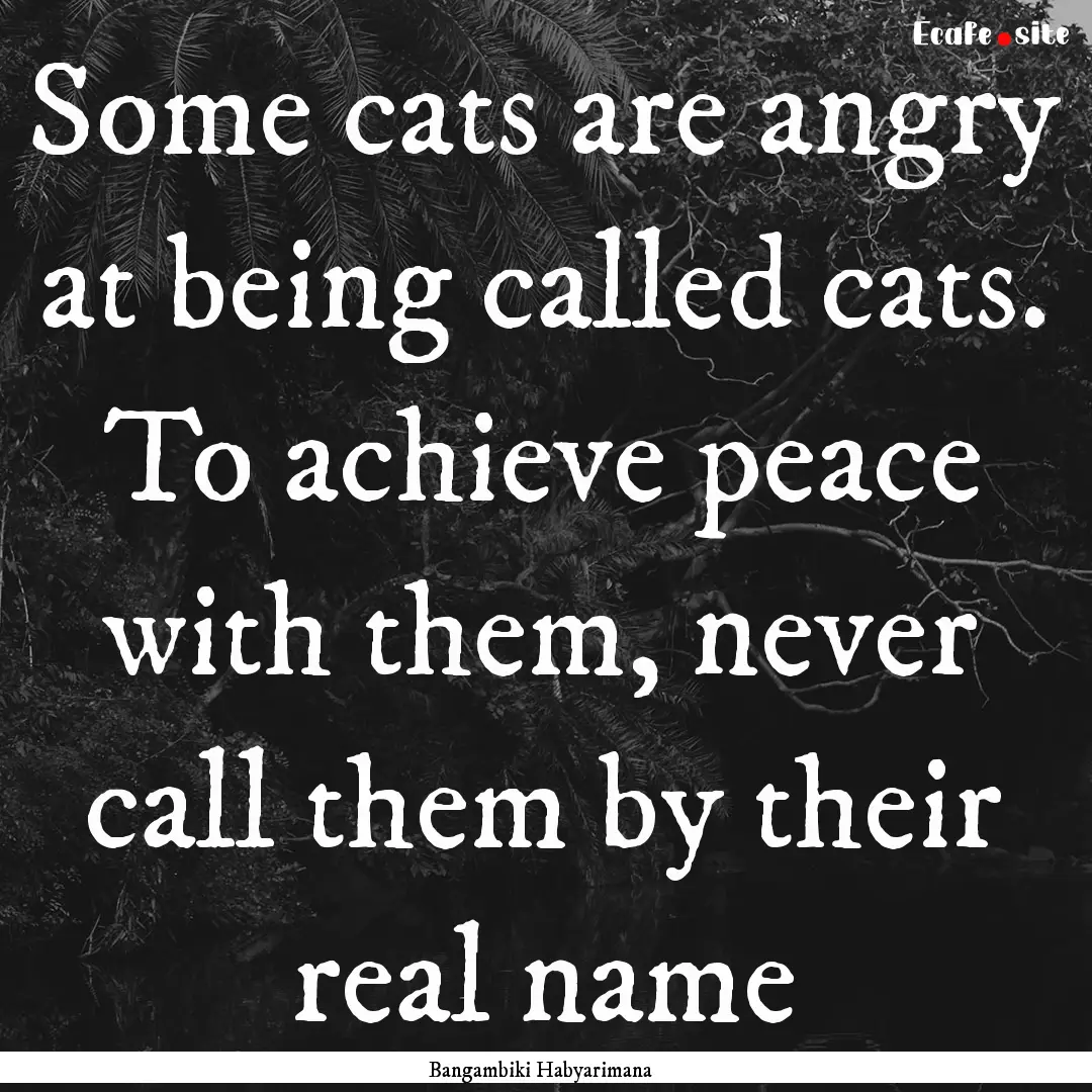 Some cats are angry at being called cats..... : Quote by Bangambiki Habyarimana